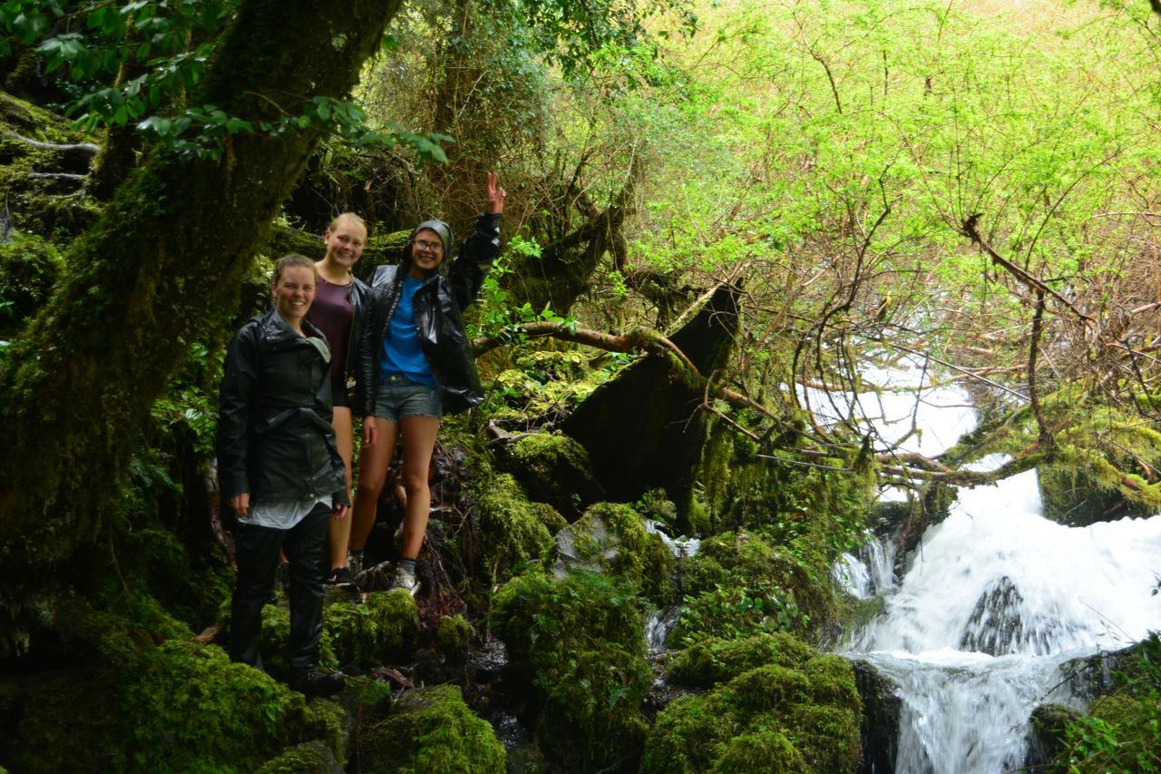 Rio Libre Pucon Party Hostel ภายนอก รูปภาพ